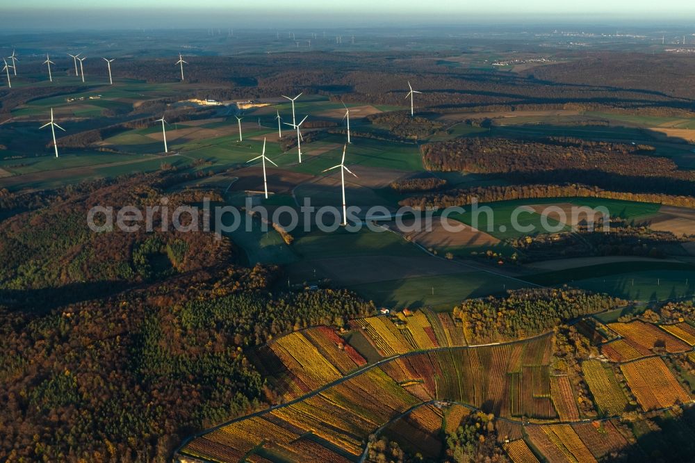 Thüngersheim from above - Autumnal discolored vegetation view fields of wine cultivation landscape in Thuengersheim in the state Bavaria, Germany