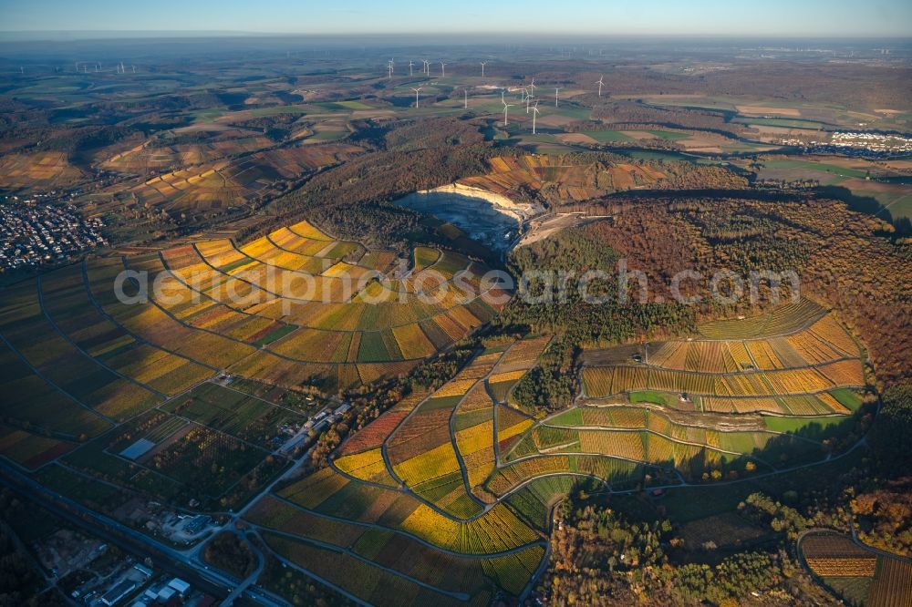 Thüngersheim from the bird's eye view: Autumnal discolored vegetation view fields of wine cultivation landscape in Thuengersheim in the state Bavaria, Germany