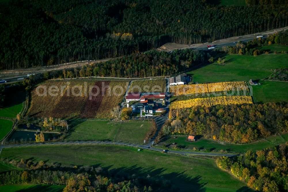 Aerial photograph Abtswind - Autumnal discolored vegetation view fields of wine cultivation landscape Weingut Behringer in Abtswind in the state Bavaria, Germany