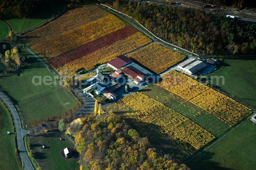 Abtswind from above - Autumnal discolored vegetation view fields of wine cultivation landscape Weingut Behringer in Abtswind in the state Bavaria, Germany