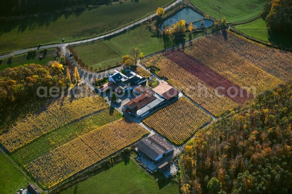 Abtswind from the bird's eye view: Autumnal discolored vegetation view fields of wine cultivation landscape Weingut Behringer in Abtswind in the state Bavaria, Germany