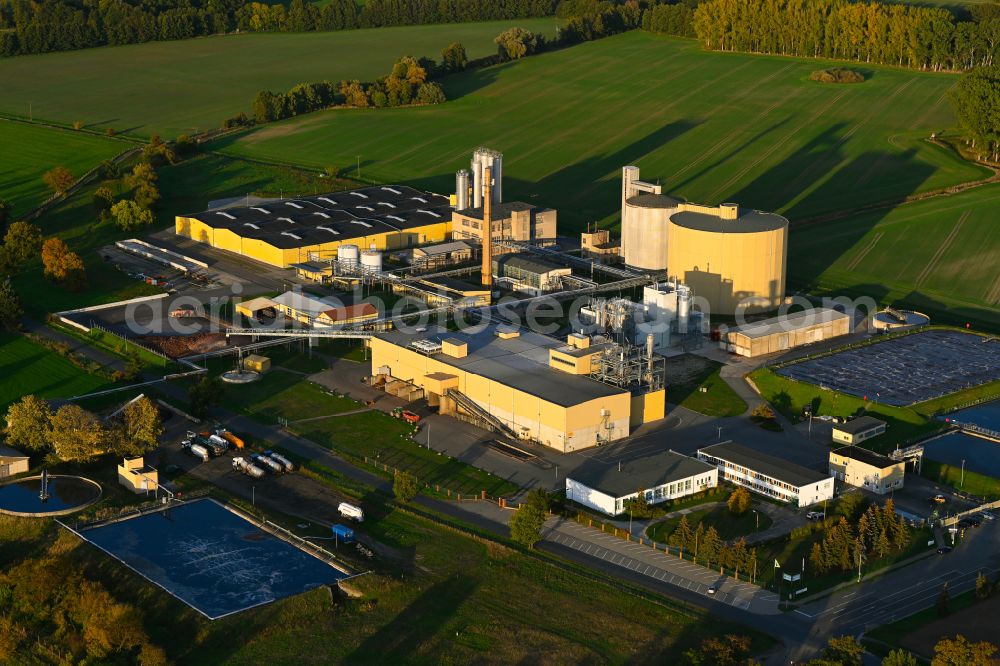 Aerial photograph Margarethenthal - Autumnal discolored vegetation view building and production halls on the premises AVEBE Kartoffelstaerkefabrik Prignitz/Wendland GmbH in Margarethenthal in the state Brandenburg, Germany