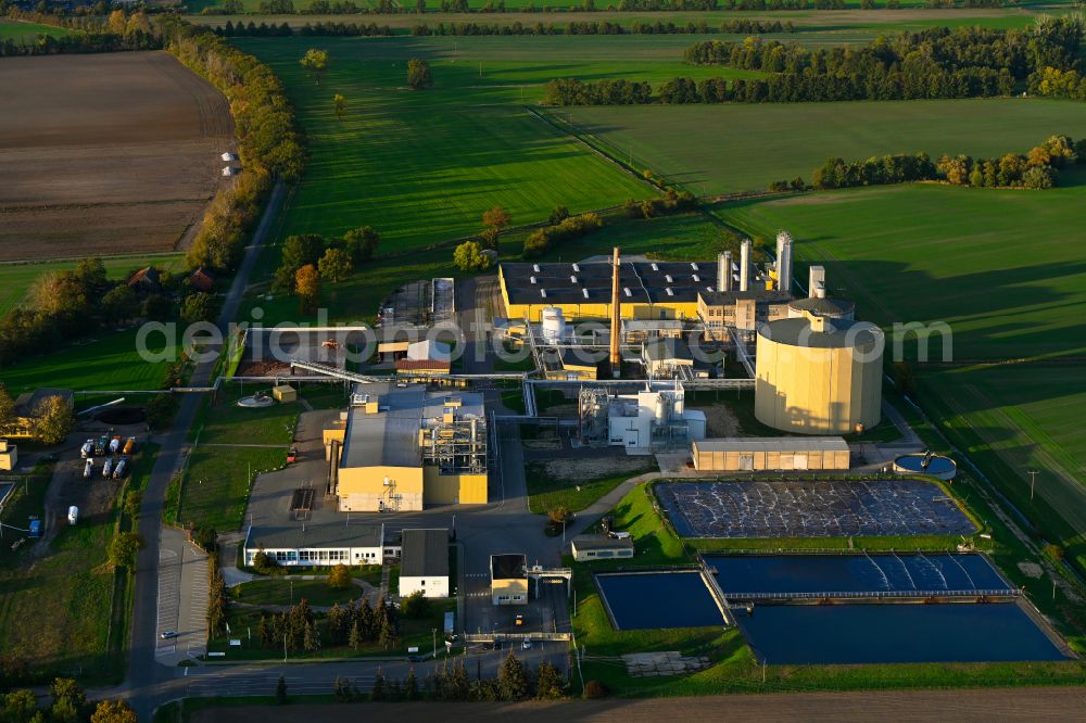 Margarethenthal from above - Autumnal discolored vegetation view building and production halls on the premises AVEBE Kartoffelstaerkefabrik Prignitz/Wendland GmbH in Margarethenthal in the state Brandenburg, Germany