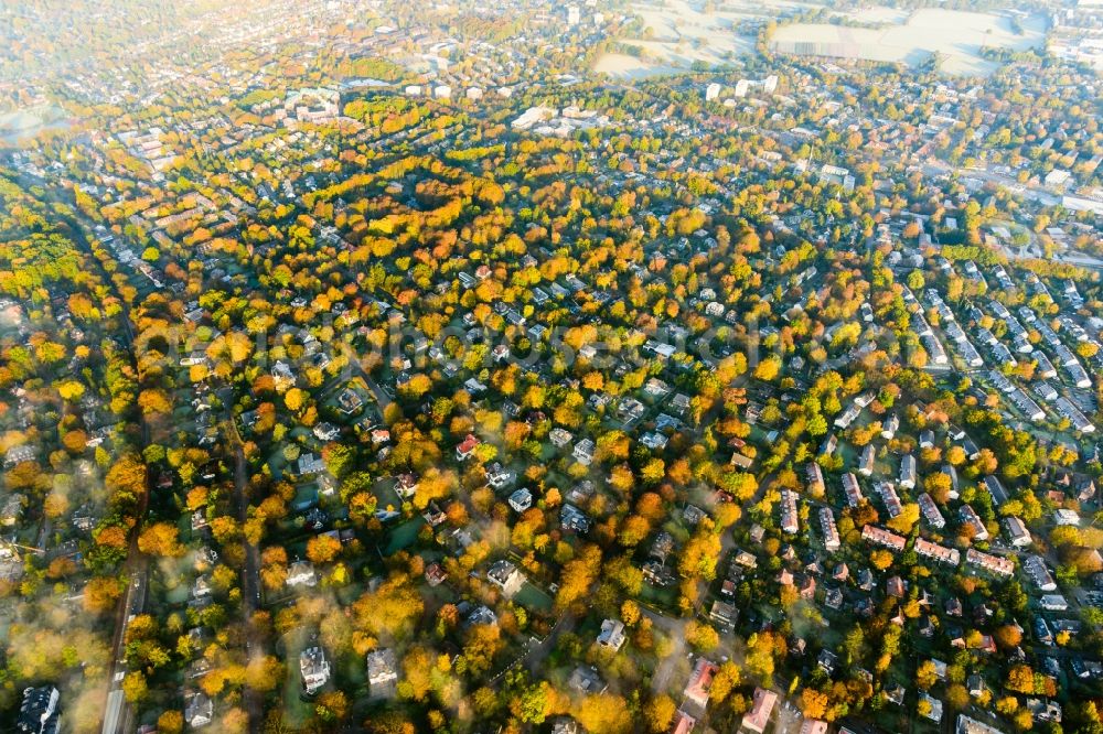 Aerial photograph Hamburg - Autumnal discolored vegetation view weather with layered fog cover in Hamburg, Germany