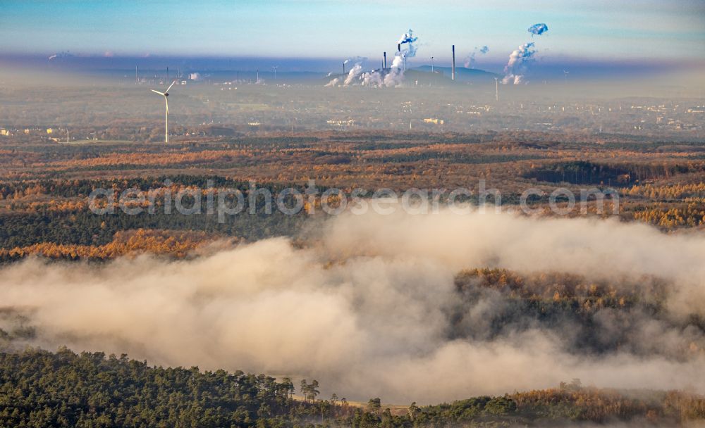 Oer-Erkenschwick from the bird's eye view: Autumnal discolored vegetation view weather conditions with cloud formation over a forest area in Oer-Erkenschwick in the state North Rhine-Westphalia, Germany