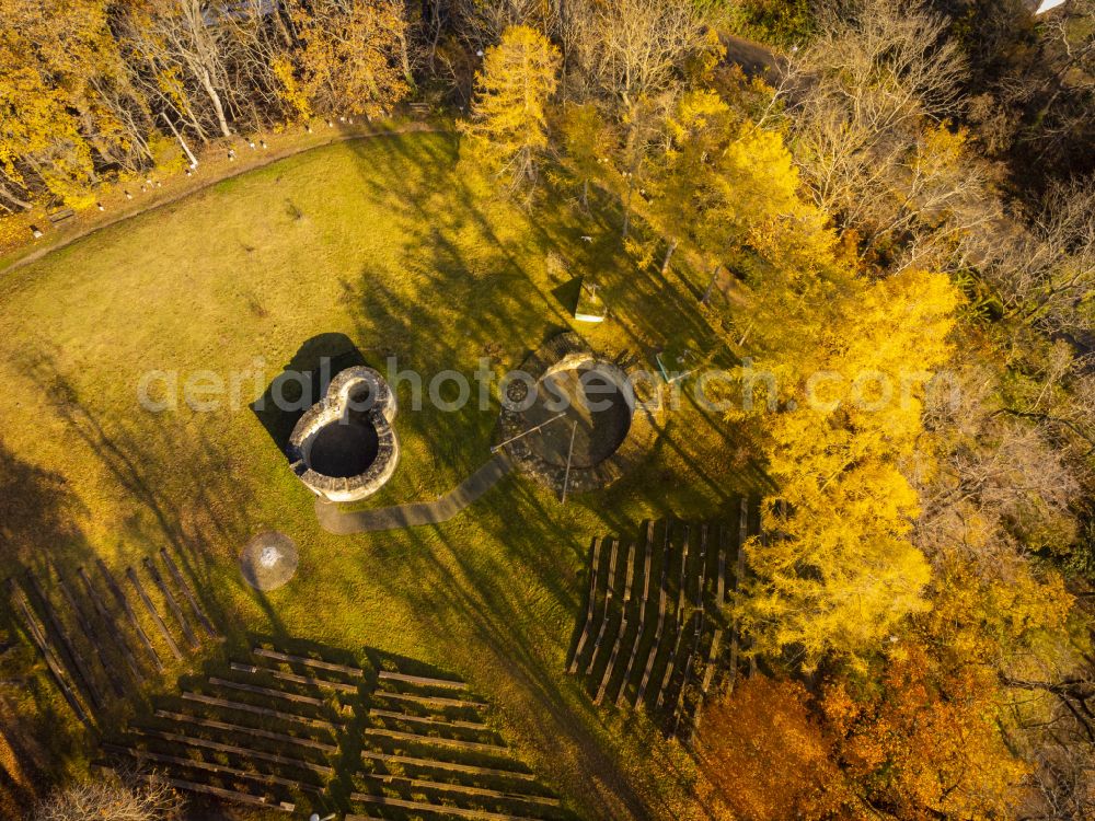 Groitzsch from the bird's eye view: Autumnal discolored vegetation view the Wiprechtsburg Groitzsch in the town of the same name is an outstanding archaeological monument with the oldest known stone buildings in Saxony in Groitzsch in the federal state of Saxony, Germany