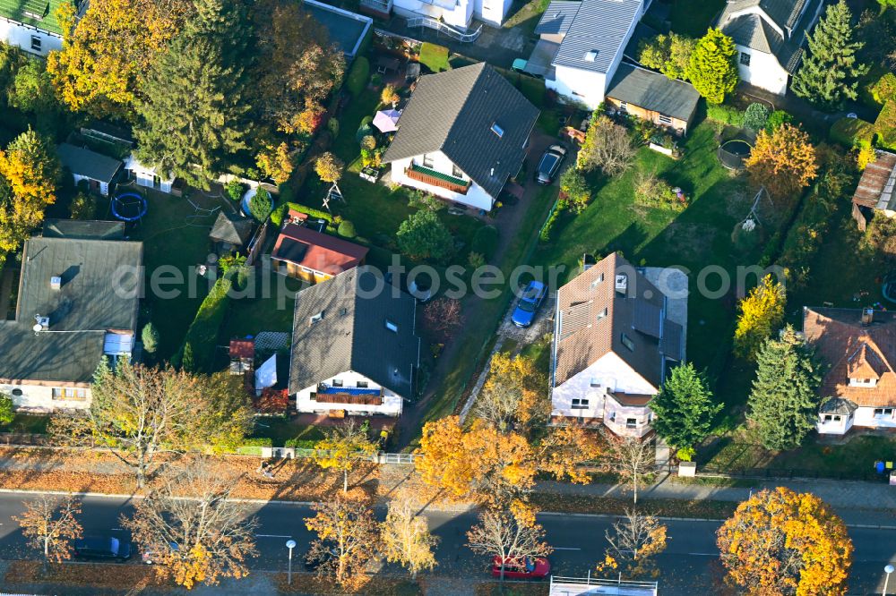 Berlin from the bird's eye view: Autumnal discolored vegetation view single-family residential area of settlement on Bausdorfstrasse in the district Kaulsdorf in Berlin, Germany