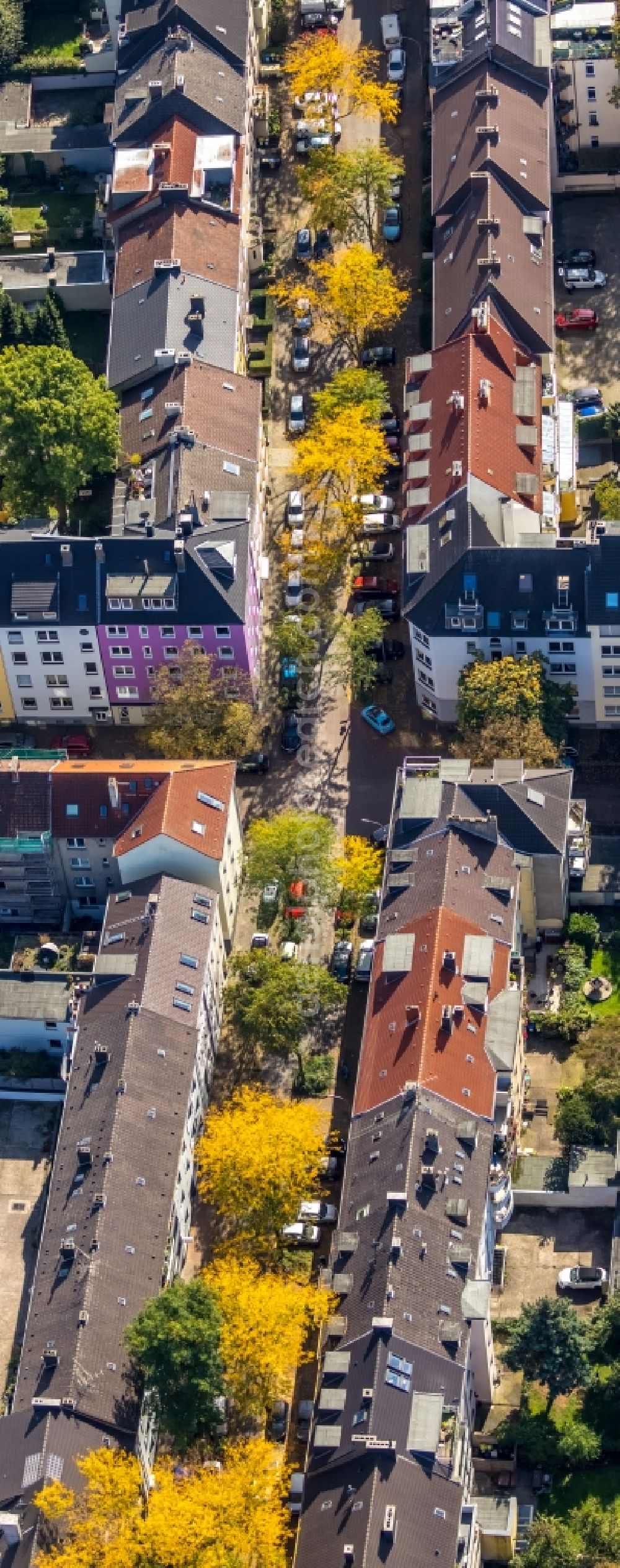 Aerial photograph Dortmund - Autumnal discolored vegetation view residential area a row house settlement Beurhausstrasse - Huettemannstrasse in Dortmund in the state North Rhine-Westphalia, Germany