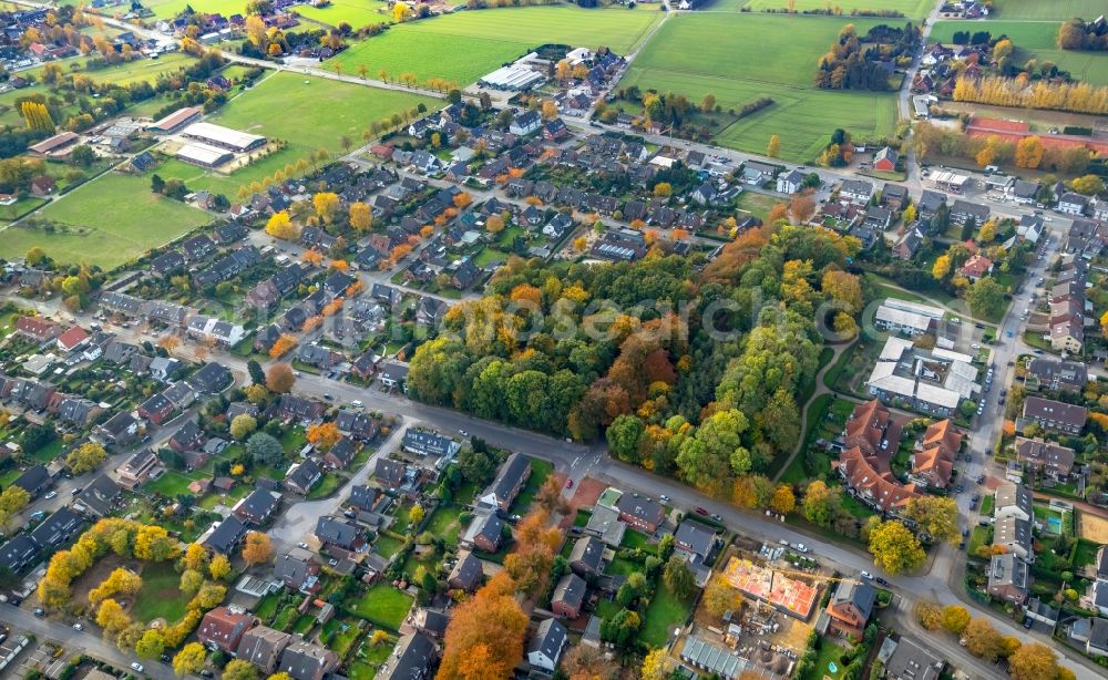 Aerial image Bottrop - Autumnal discolored vegetation view in the settlement along the Burgstrasse in the district Kirchhellen in Bottrop in the state North Rhine-Westphalia, Germany