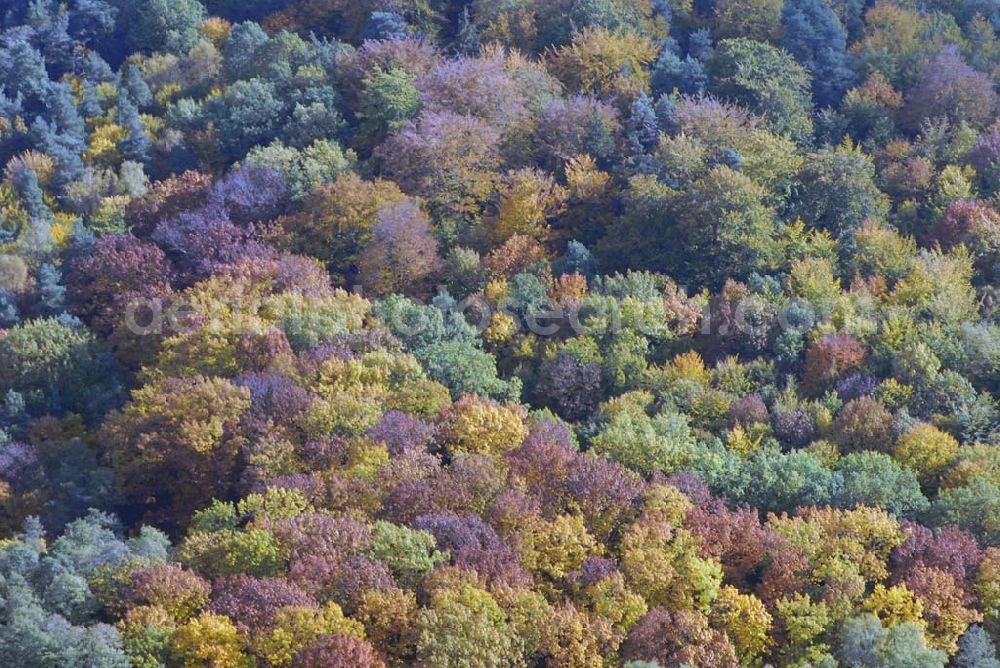 Aerial photograph Meißen - Blick auf die herbstliche Stimmung in der Nähe des Sophienteiches.