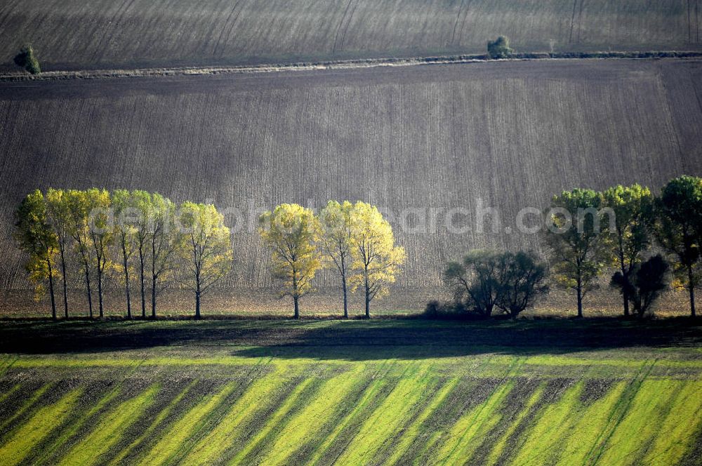 Ettenhausen from the bird's eye view: Herbststimmung an abgeernteten und umgepflügten Feldern bei Ettenhausen in Thüringen.