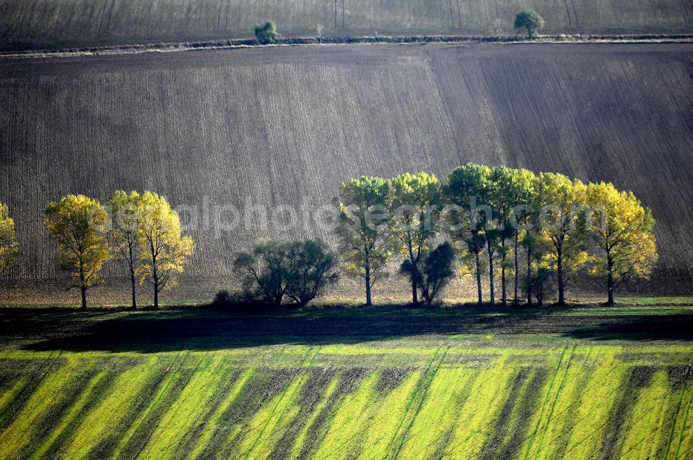 Aerial image Ettenhausen - Herbststimmung an abgeernteten und umgepflügten Feldern bei Ettenhausen in Thüringen.