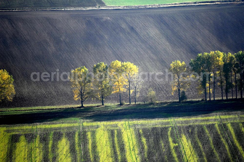 Aerial photograph Ettenhausen - Herbststimmung an abgeernteten und umgepflügten Feldern bei Ettenhausen in Thüringen.