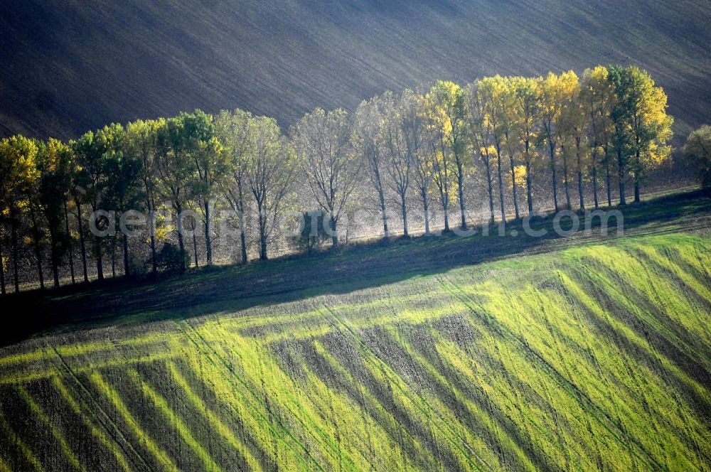 Ettenhausen from above - Herbststimmung an abgeernteten und umgepflügten Feldern bei Ettenhausen in Thüringen.