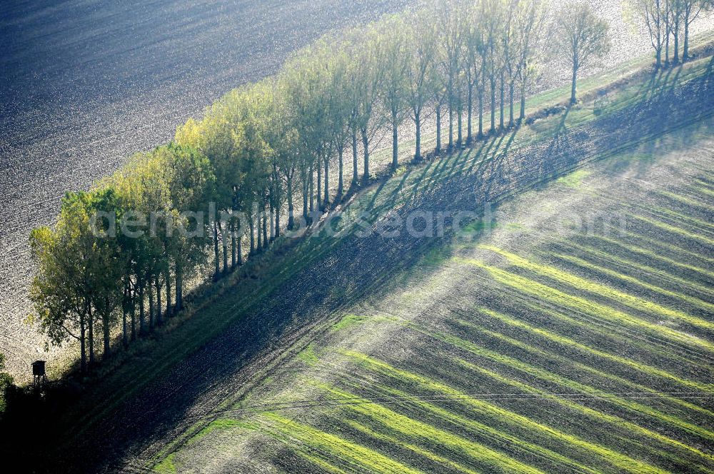 Aerial image Ettenhausen - Herbststimmung an abgeernteten und umgepflügten Feldern bei Ettenhausen in Thüringen.