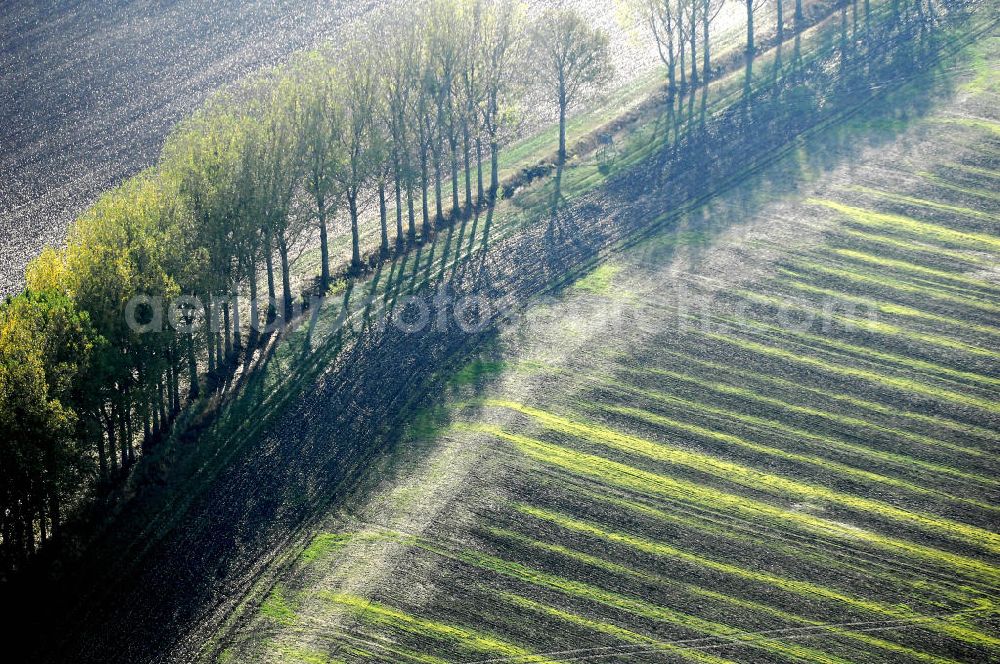 Aerial photograph Ettenhausen - Herbststimmung an abgeernteten und umgepflügten Feldern bei Ettenhausen in Thüringen.