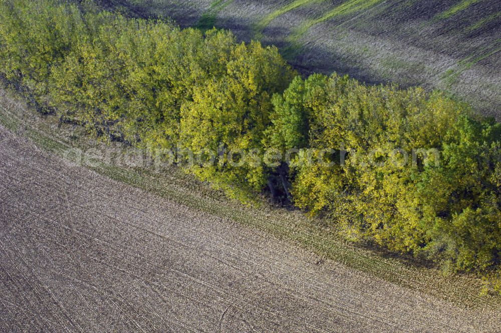 Ettenhausen from above - Herbststimmung an abgeernteten und umgepflügten Feldern bei Ettenhausen in Thüringen.