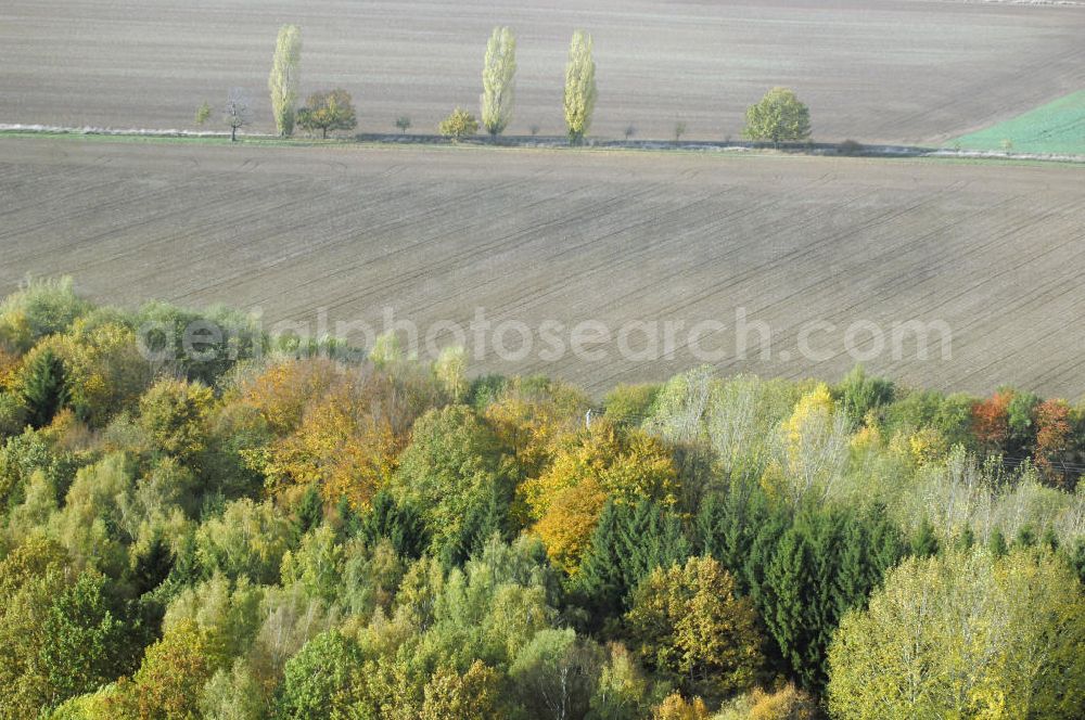 Ettenhausen from the bird's eye view: Herbststimmung an abgeernteten und umgepflügten Feldern bei Ettenhausen in Thüringen.