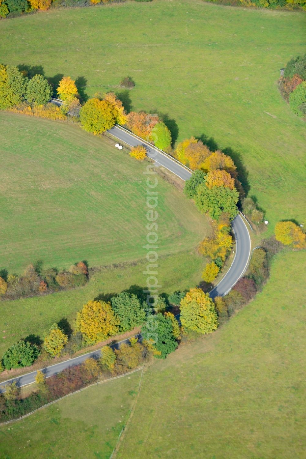 Aerial photograph Reine - View of an autumnal tree avenue along the Kreisstraße 58 near Reine in North Rhine-Westphalia