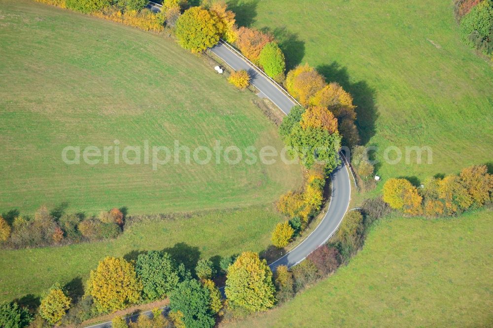 Reine from above - View of an autumnal tree avenue along the Kreisstraße 58 near Reine in North Rhine-Westphalia