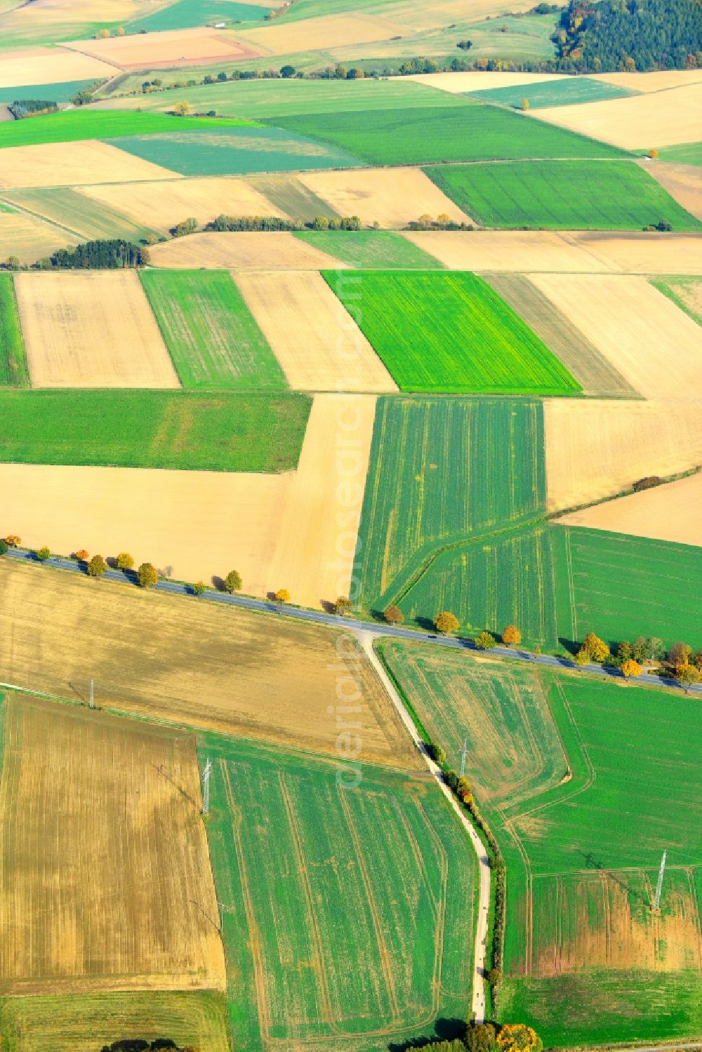 Dielmissen from the bird's eye view: View of an autumnal landscape with field structures and agricultural land in Dielmissen in Lower Saxony