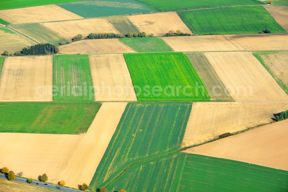 Aerial image Dielmissen - View of an autumnal landscape with field structures and agricultural land in Dielmissen in Lower Saxony