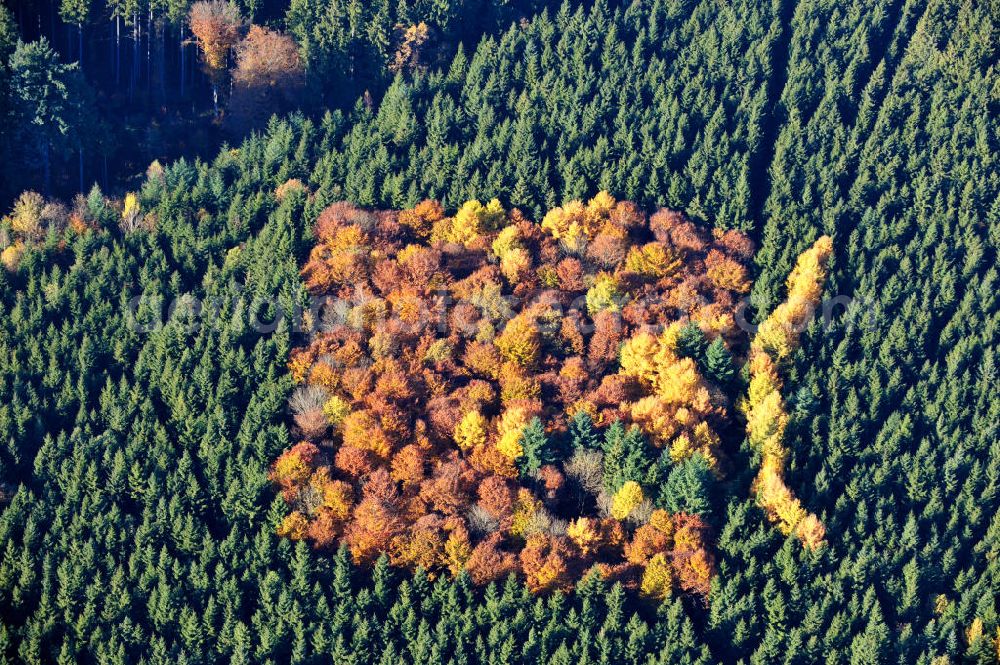 Biberberg from the bird's eye view: Der Herbst zeigt sein Antlitz, Laubbäume in rot und gelb zwischen Nadelbäumen. The autumn shows its face, deciduous trees in red and yellow between coniferous trees.