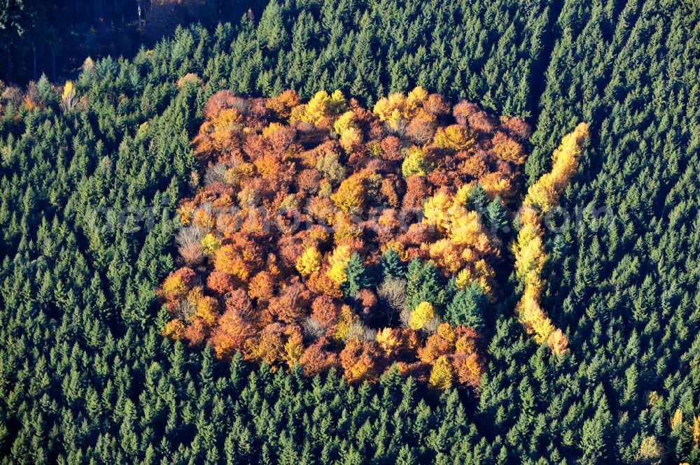 Aerial image Biberberg - Der Herbst zeigt sein Antlitz, Laubbäume in rot und gelb zwischen Nadelbäumen. The autumn shows its face, deciduous trees in red and yellow between coniferous trees.