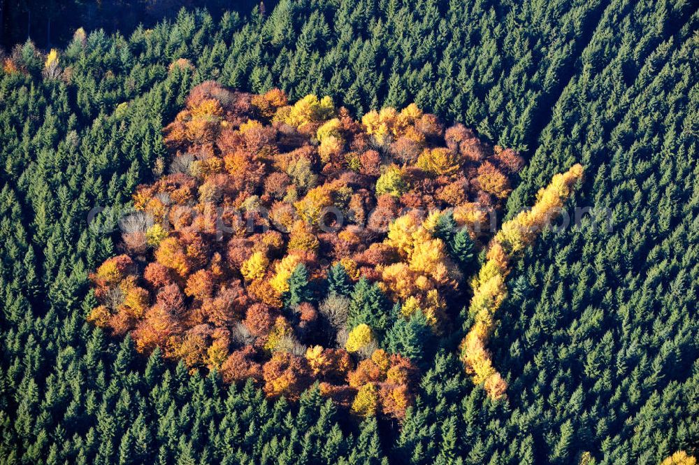 Aerial photograph Biberberg - Der Herbst zeigt sein Antlitz, Laubbäume in rot und gelb zwischen Nadelbäumen. The autumn shows its face, deciduous trees in red and yellow between coniferous trees.