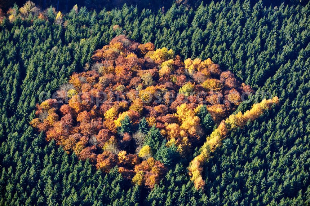 Biberberg from above - Der Herbst zeigt sein Antlitz, Laubbäume in rot und gelb zwischen Nadelbäumen. The autumn shows its face, deciduous trees in red and yellow between coniferous trees.