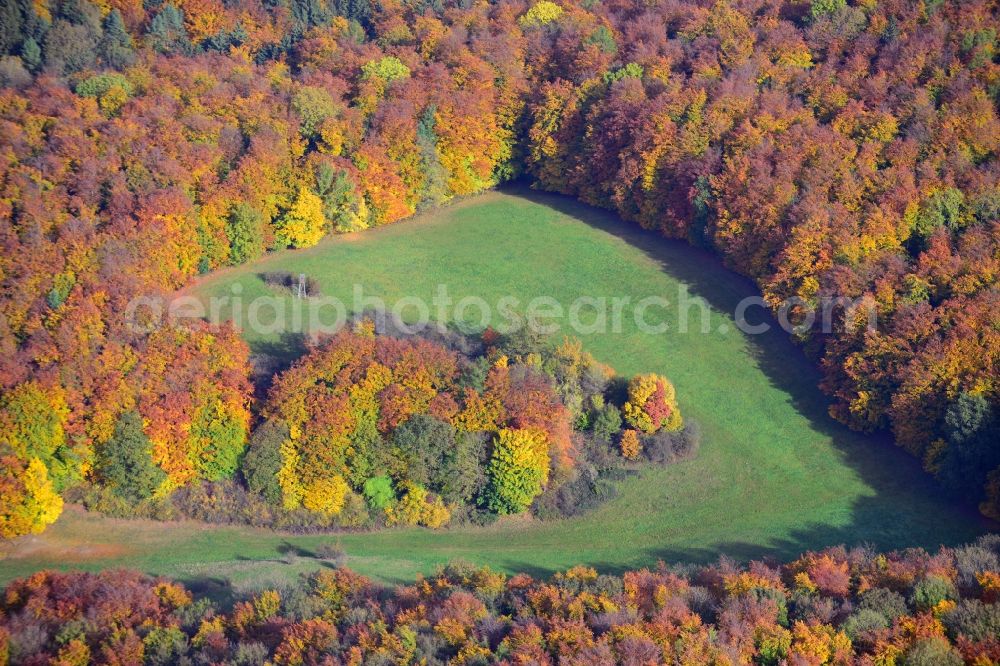 Aerial photograph Holzen - View of an autumnal forestland in Holzen in Lower-Saxony