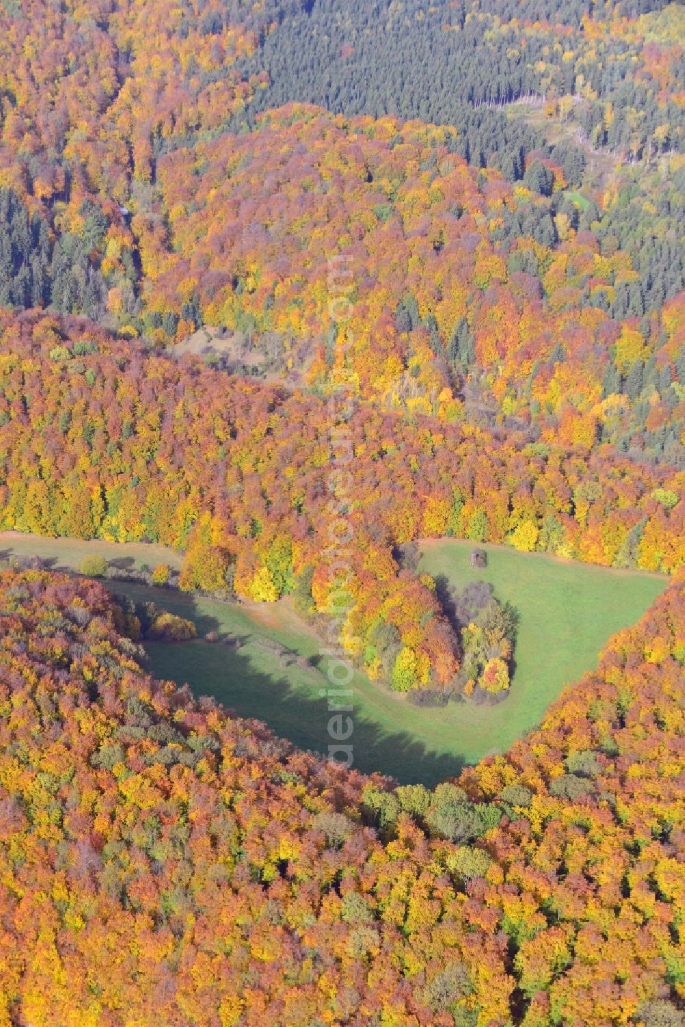 Holzen from the bird's eye view: View of an autumnal forestland in Holzen in Lower-Saxony