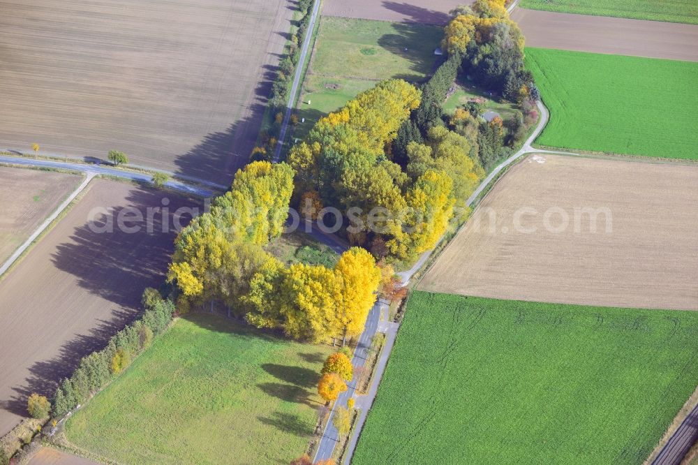 Klein Elbe from above - View of an autumnal forestland in Klein Elbe in Lower-Saxony