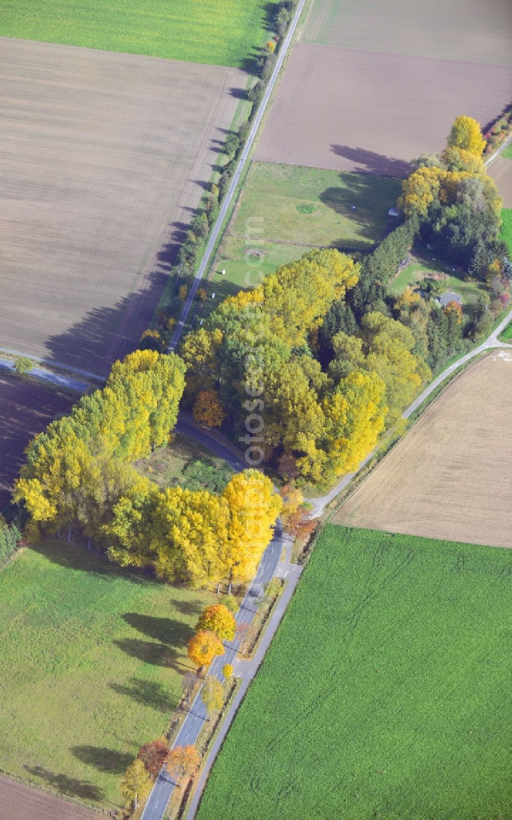 Klein Elbe from the bird's eye view: View of an autumnal forestland in Klein Elbe in Lower-Saxony