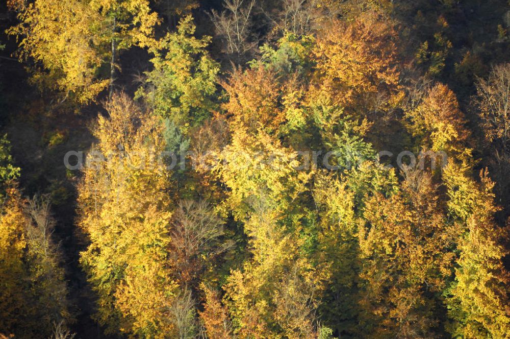 SÄTTELSTÄDT from the bird's eye view: Herbststimmung an Wäldern und Feldern bei Sättelstädt in Thüringen.