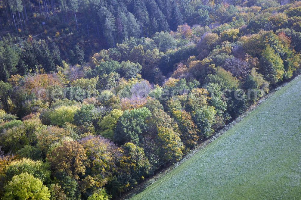 SÄTTELSTÄDT from the bird's eye view: Herbststimmung an Wäldern und Feldern bei Sättelstädt in Thüringen.