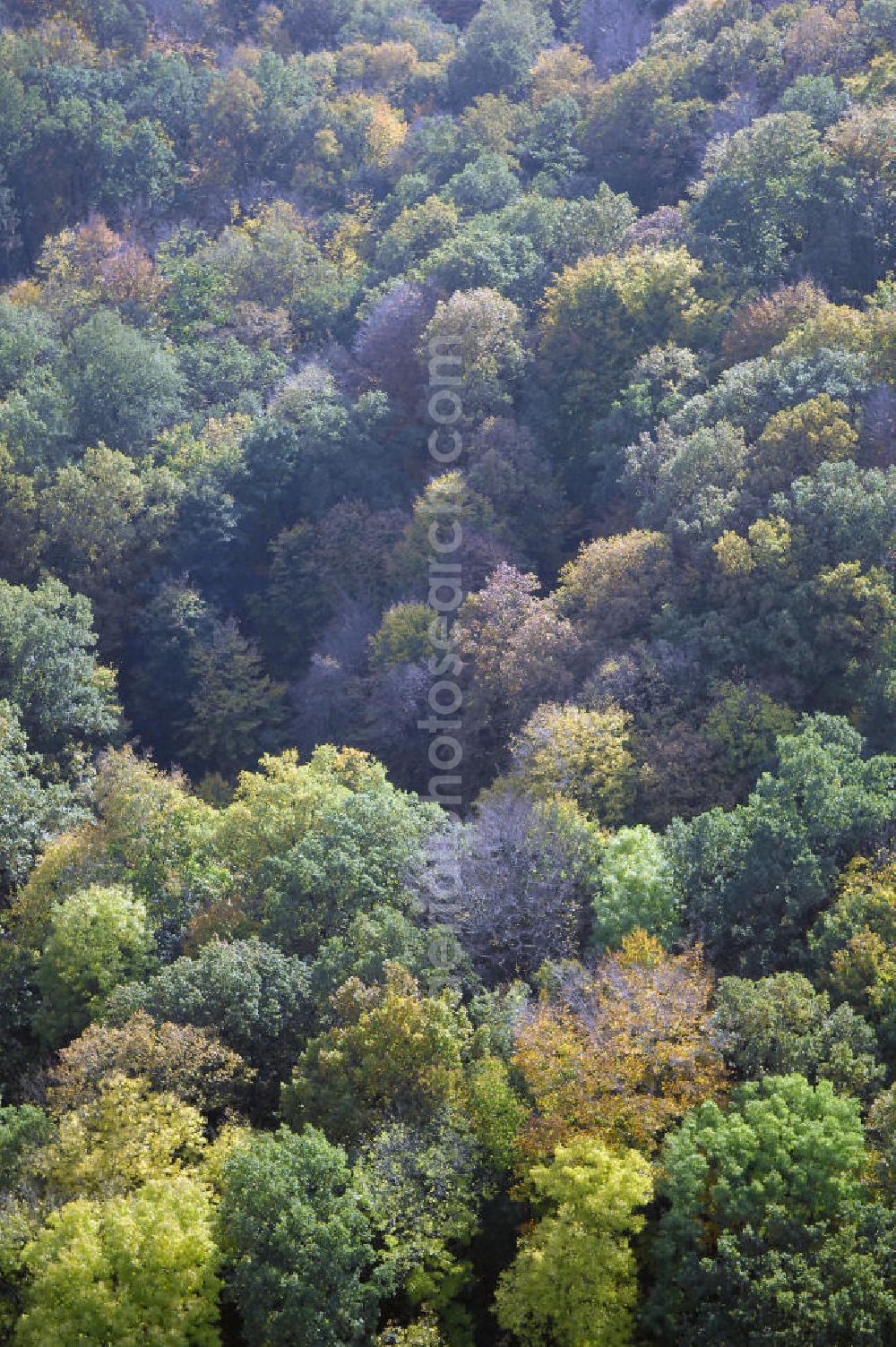 Aerial image SÄTTELSTÄDT - Herbststimmung an Wäldern und Feldern bei Sättelstädt in Thüringen.