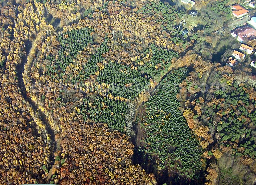 Aerial photograph Neuenhagen / BRB - Herbstwaldstimmung bei Neuenhagen Neuenhagen / BRB