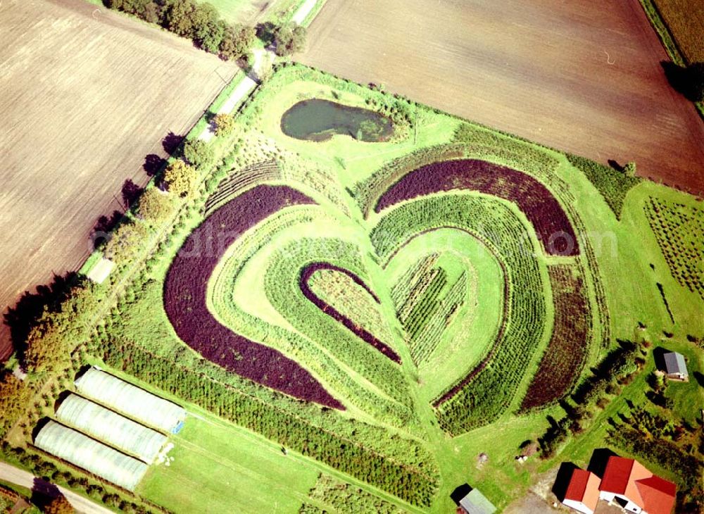 Aerial image Recklinghausen - Herzförmige Gartenbepflanzung bei Recklinghausen 01.10.02