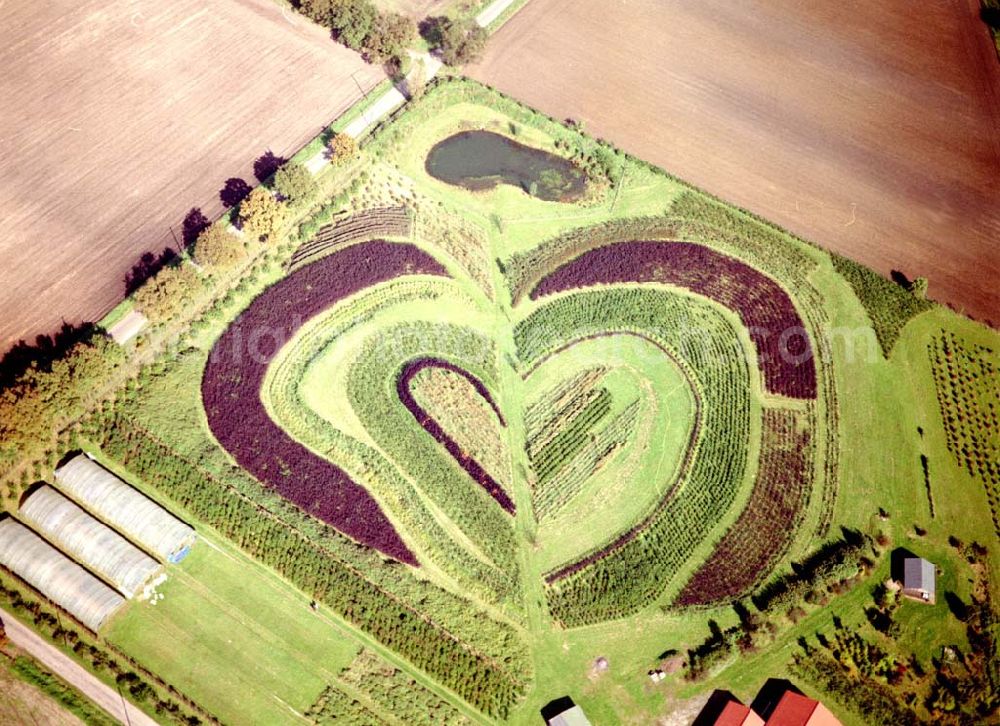 Aerial photograph Recklinghausen - Herzförmige Gartenbepflanzung bei Recklinghausen 01.10.02