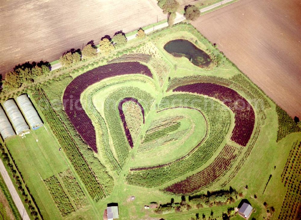 Aerial image Recklinghausen - Herzförmige Gartenbepflanzung bei Recklinghausen 01.10.02