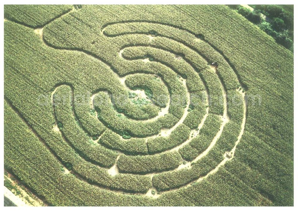 Aerial image Altenstadt / Hessen - 07.09.2002 Hessen Maisfeldirrgarten bei Altenstadt in Hessen