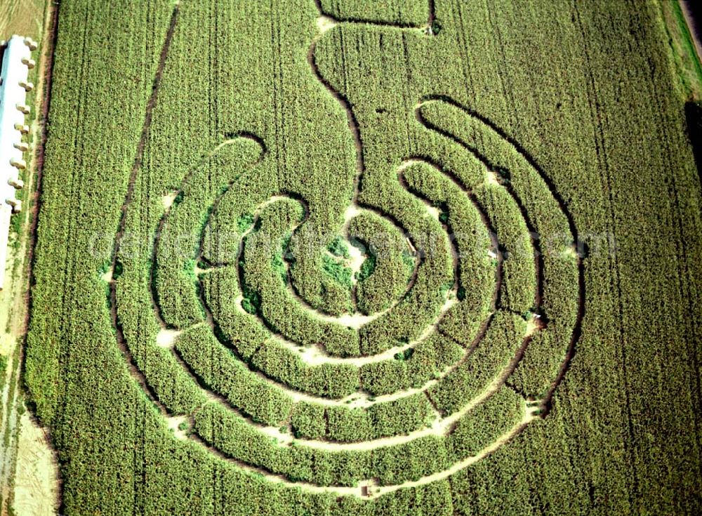 Aerial photograph Altenstadt / Hessen - 07.09.2002 Hessen Maisfeldirrgarten bei Altenstadt in Hessen