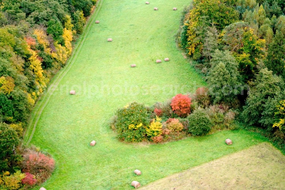 Wörth am Rhein from the bird's eye view: Grass bale landscape on a meadow in the autumn coloured forest in Woerth am Rhein in the state Rhineland-Palatinate