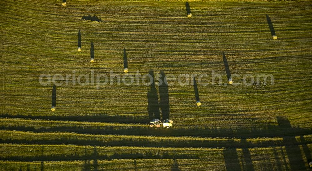 Aerial image Brilon - View of a hay harvest in Brilon in the state North Rhine-Westphalia