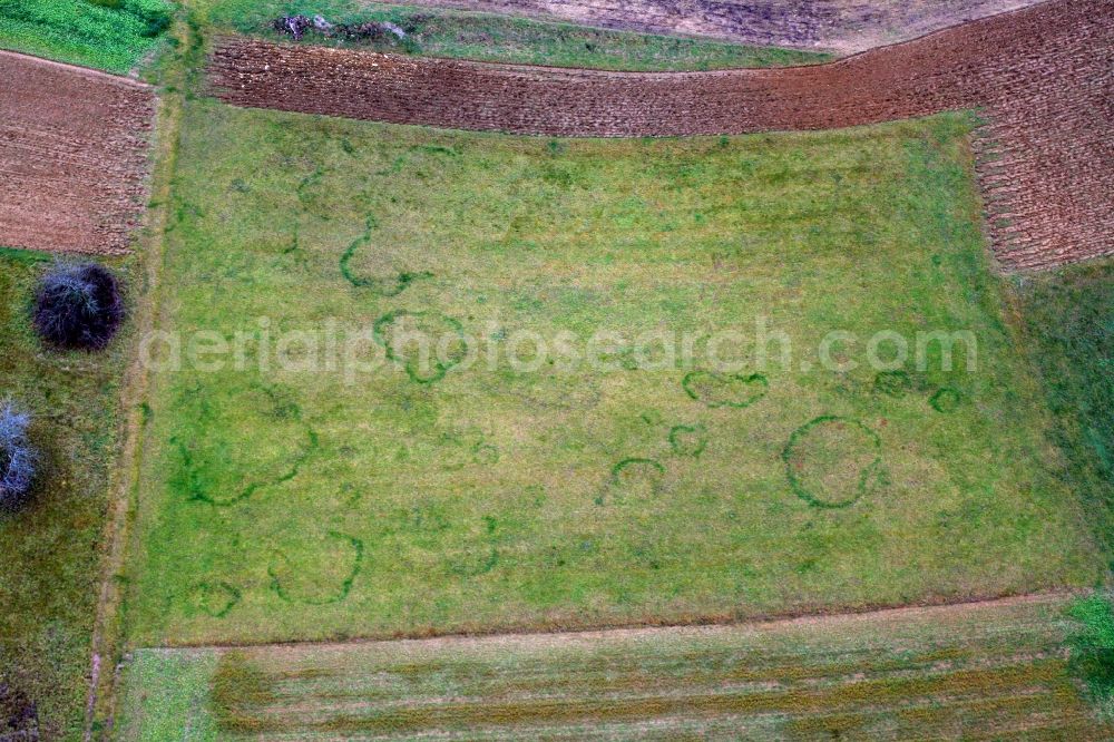 Aerial image Hasel - Structures on agricultural fields are called fairy rings and are caused by the subterranean growing of a mushroom mycelium in Hasel in the state Baden-Wurttemberg, Germany