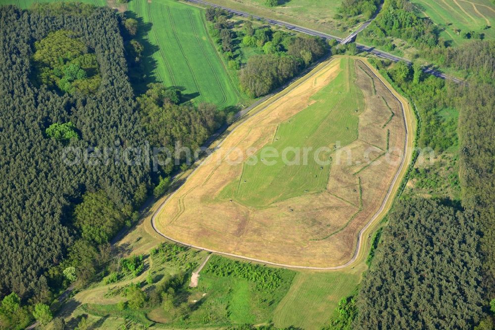 Aerial image Wriezen Ortsteil Biesdorf - Hill of renatured dump to a wooded area near the village of Biesdorf, a district of Wriezen in Brandenburg