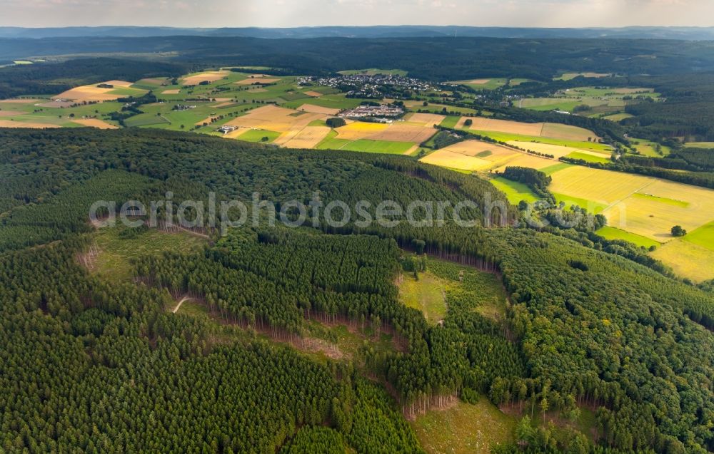 Aerial image Warstein - Hills, meadows and landscape of the Allagener Mark region in the Hirschberg part of Warstein in the state of North Rhine-Westphalia