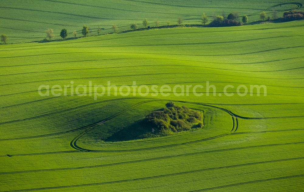 Aerial photograph Groß Roge - Colona field with eye-shaped elevation in Gross Roge in the state of Mecklenburg-Western Pomerania