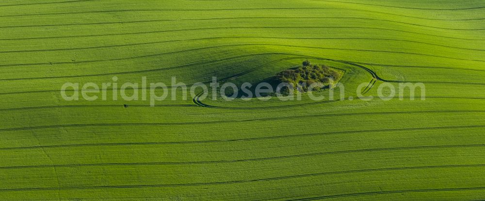 Groß Roge from above - Colona field with eye-shaped elevation in Gross Roge in the state of Mecklenburg-Western Pomerania